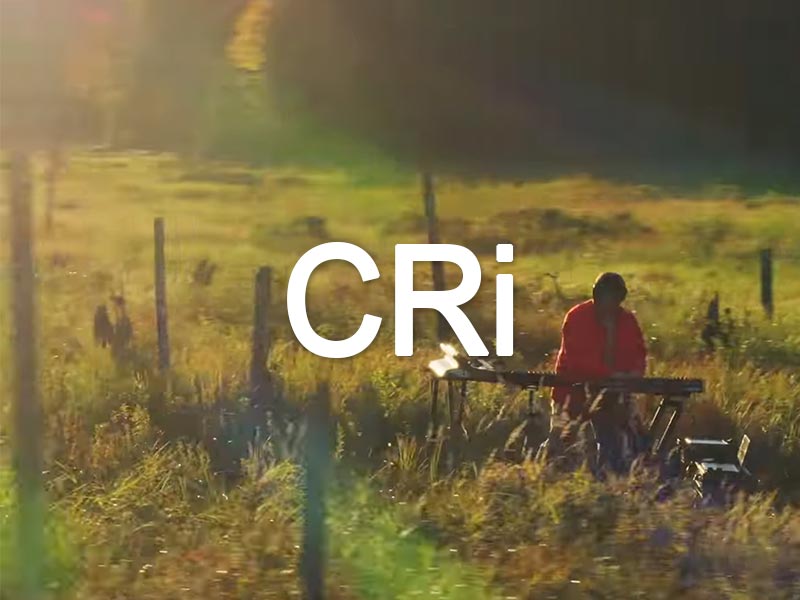 CRi & Harry Hayes - Your Love Live Session